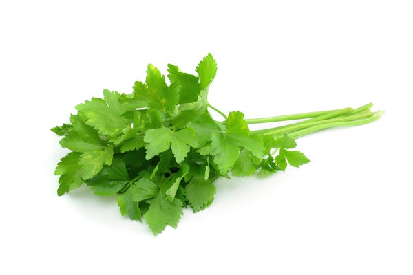 Pineapple Cilantro