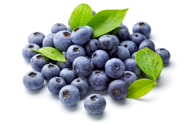 Pedal Pops Blueberries
